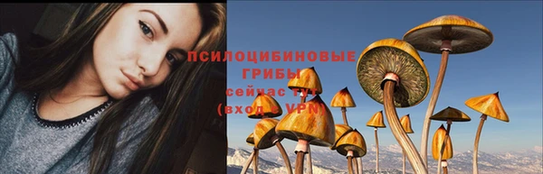 первитин Белокуриха