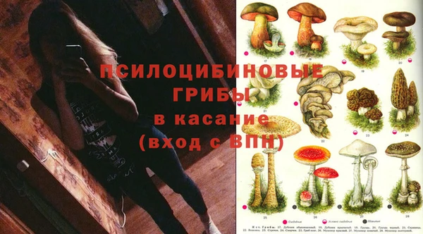 первитин Белокуриха